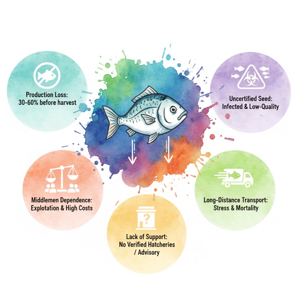 Aquaculture Problem