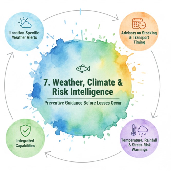 Weather Dashboard